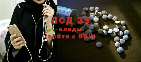 индика Кулебаки