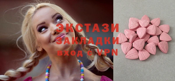 индика Кулебаки