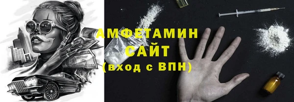 индика Кулебаки