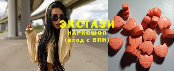 индика Кулебаки