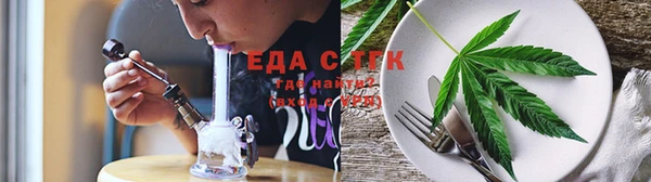 индика Кулебаки
