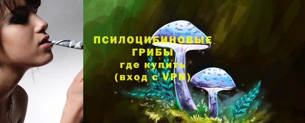 индика Кулебаки