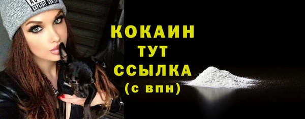 индика Кулебаки