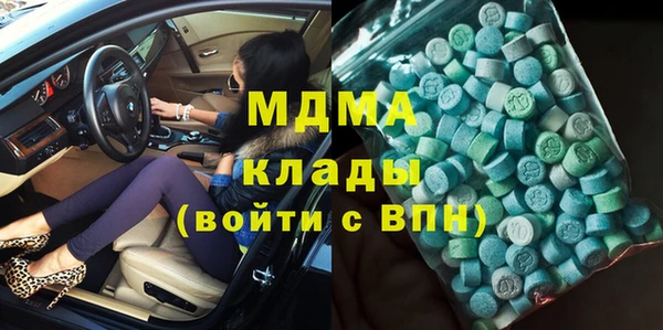 индика Кулебаки