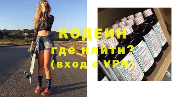 индика Кулебаки