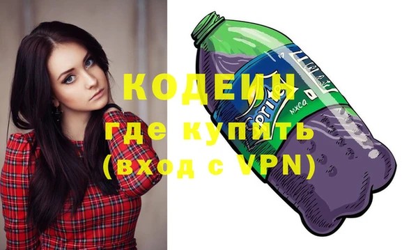 индика Кулебаки