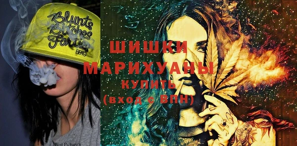 индика Кулебаки