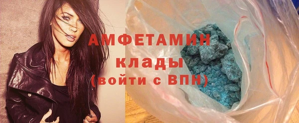 индика Кулебаки